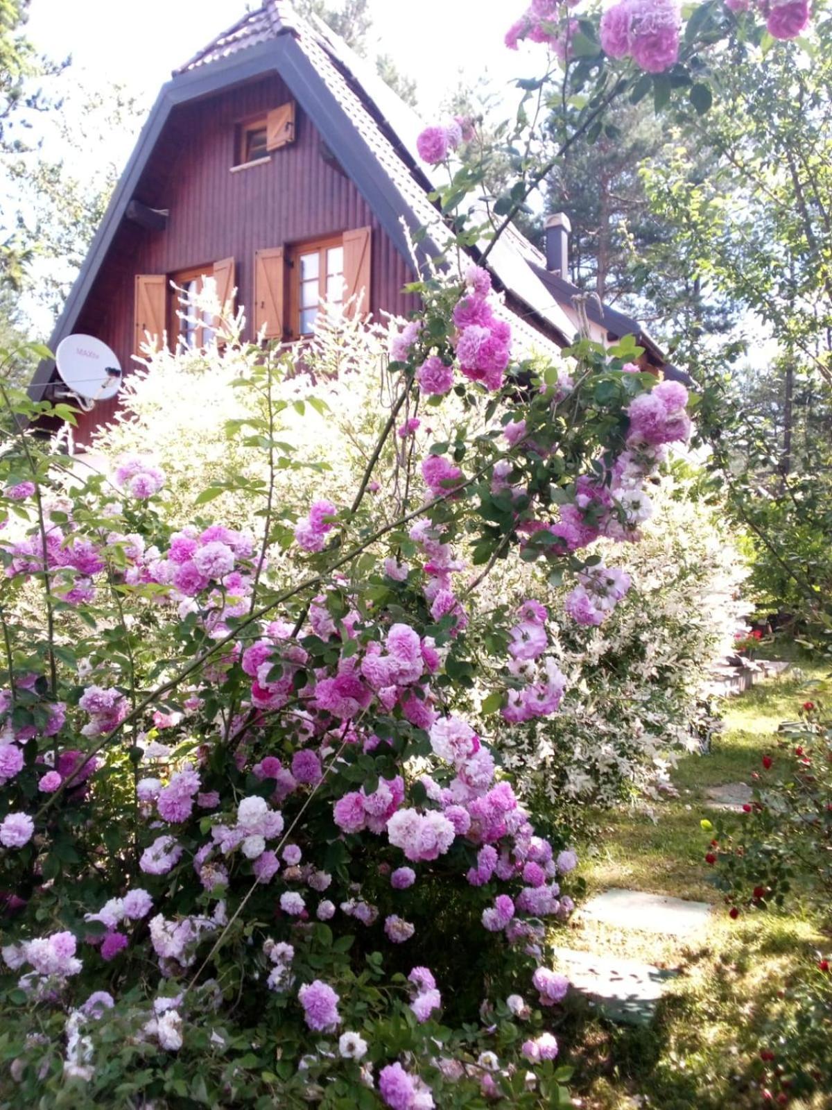 Plitvice Lakes Holiday Lodge Rudanovac ภายนอก รูปภาพ